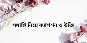 সমাপ্তি নিয়ে ক্যাপশন ও উক্তি