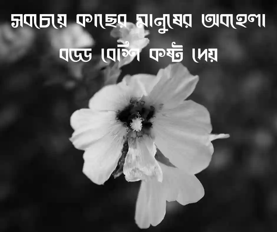 অকৃতজ্ঞ মানুষ নিয়ে উক্তি
