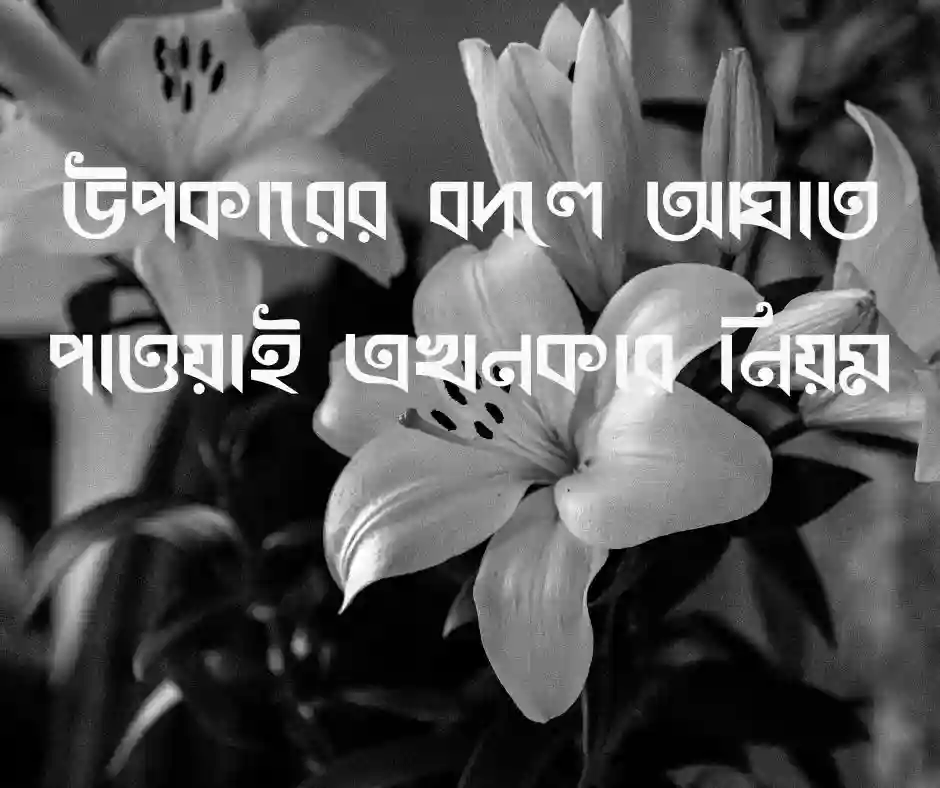 অকৃতজ্ঞ মানুষ নিয়ে কিছু কথা