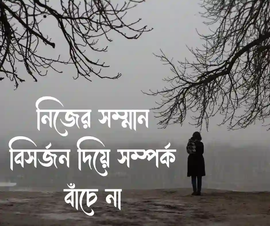 আত্মসম্মানে আঘাত নিয়ে উক্তি
