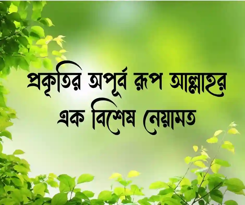আল্লাহর সৃষ্টি নিয়ে ক্যাপশন