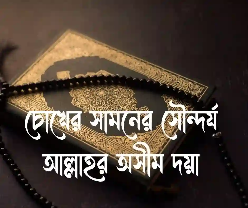 আল্লাহর সৃষ্টি নিয়ে স্ট্যাটাস