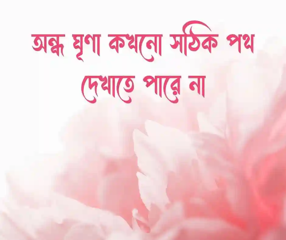 ঘৃণা নিয়ে উক্তি