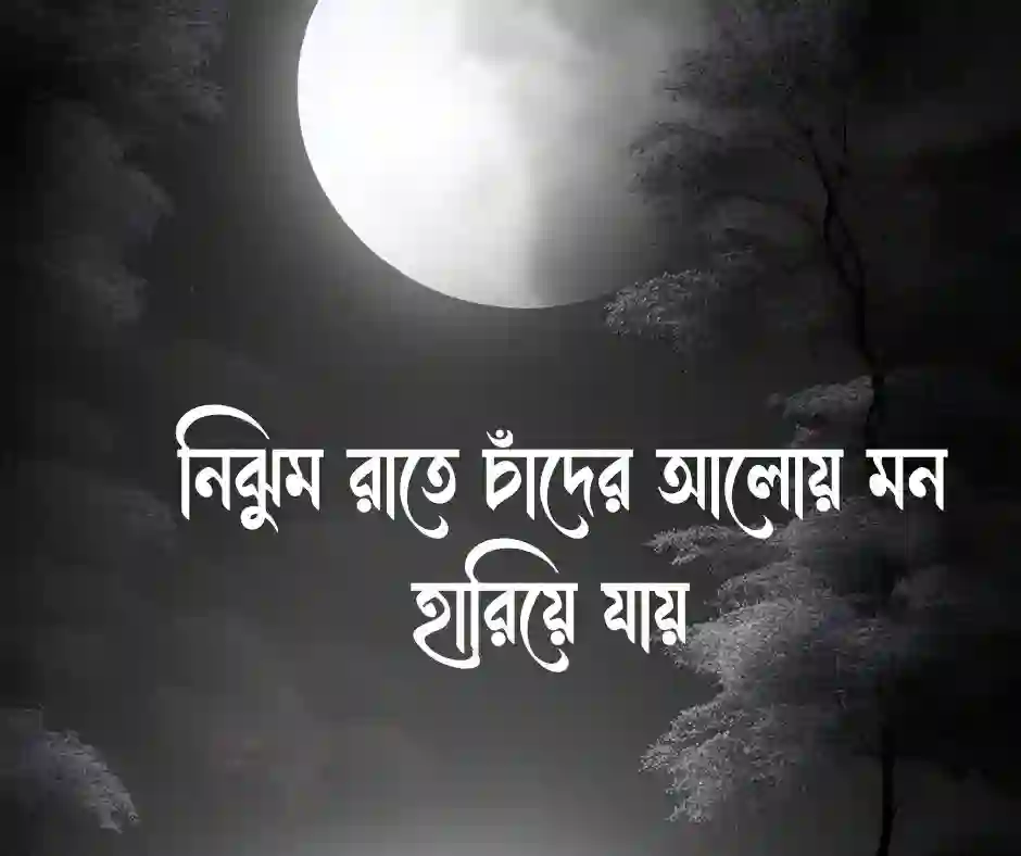 চাঁদের আলো নিয়ে ক্যাপশন