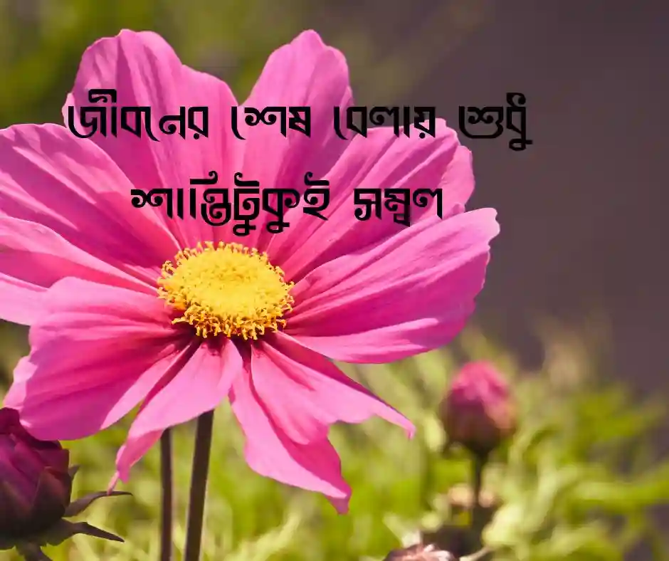 জীবনের মুক্তি নিয়ে স্ট্যাটাস