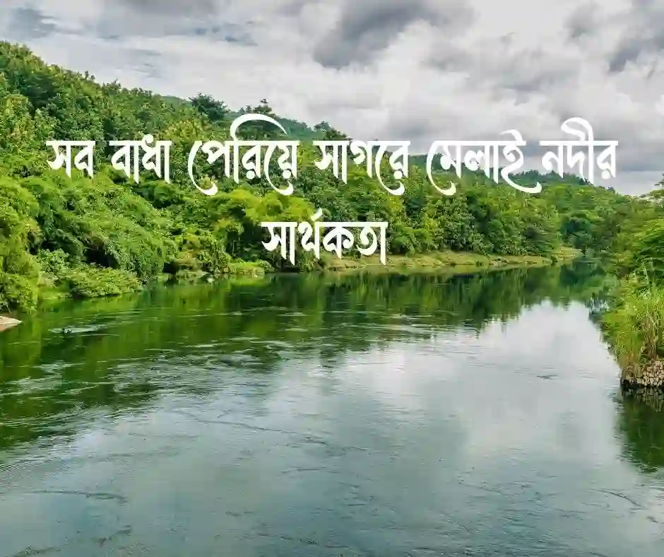 নদী নিয়ে উক্তি