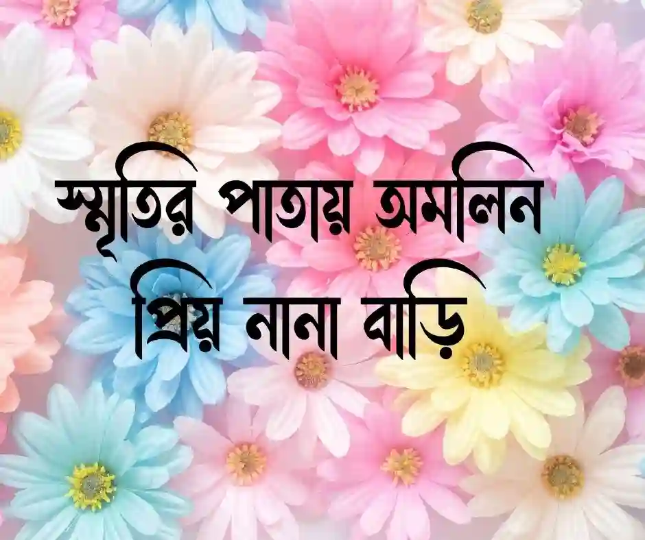 নানা বাড়ি নিয়ে উক্তি
