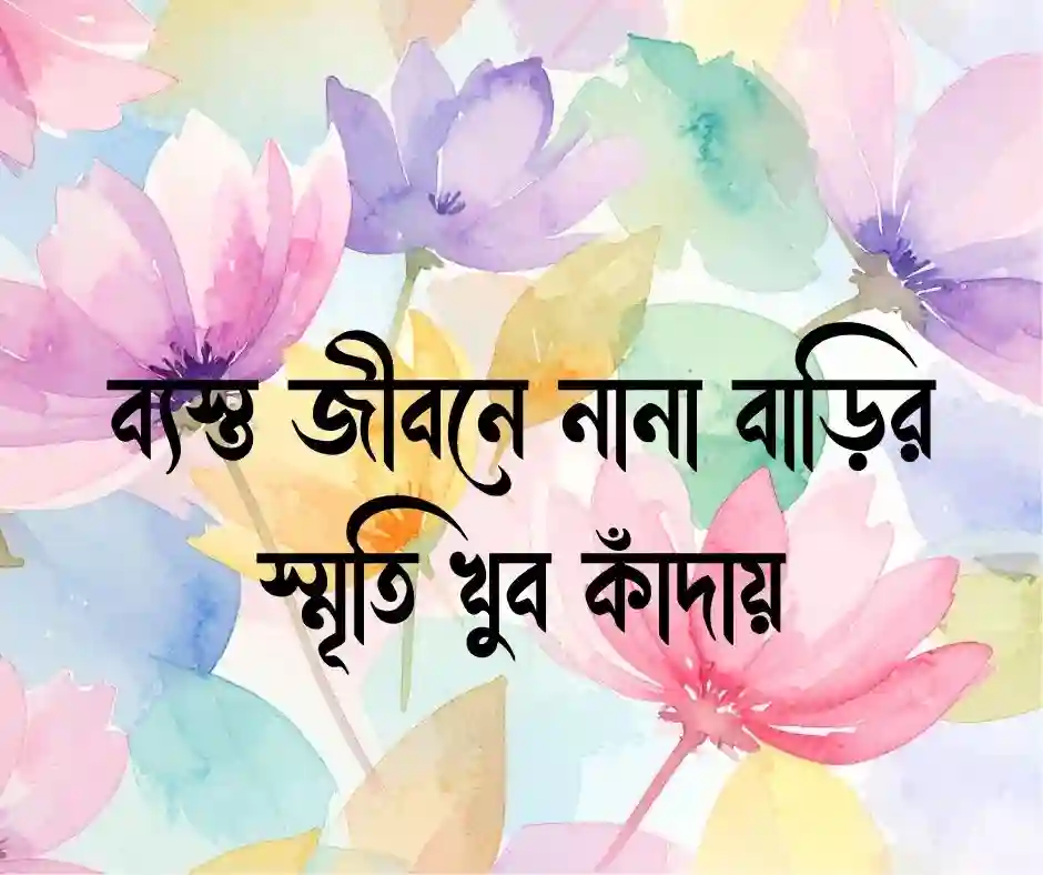 নানা বাড়ি নিয়ে স্ট্যাটাস