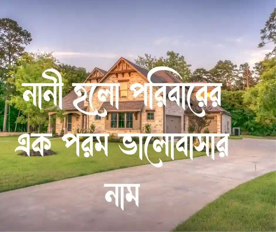 নানীকে নিয়ে কিছু কথা
