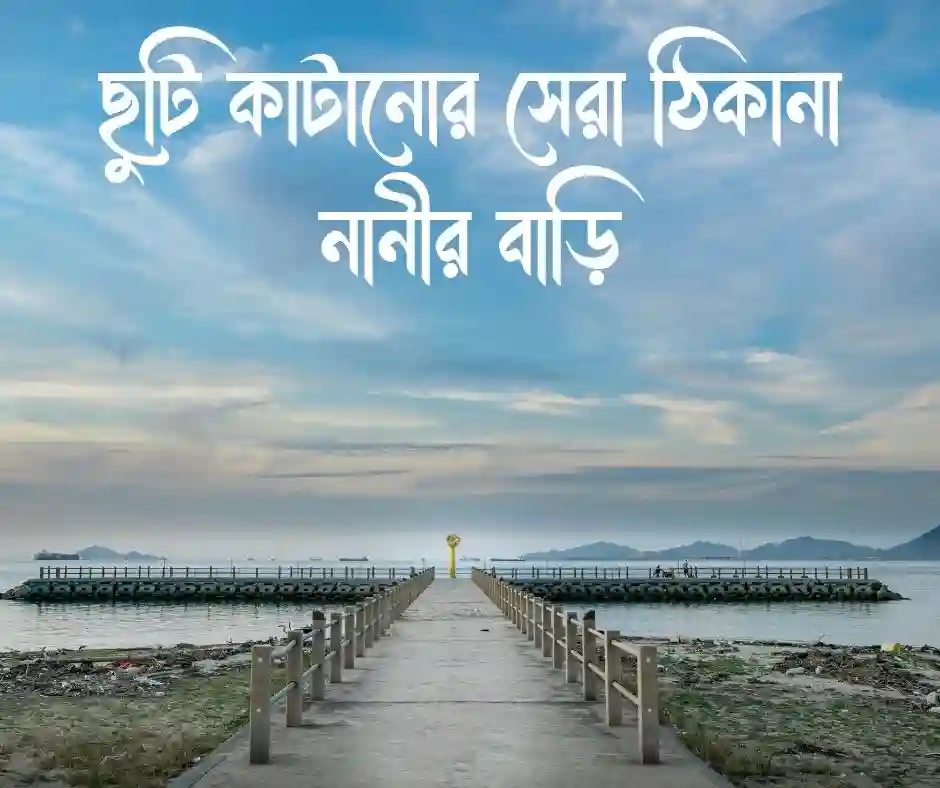 নানীকে নিয়ে স্ট্যাটাস