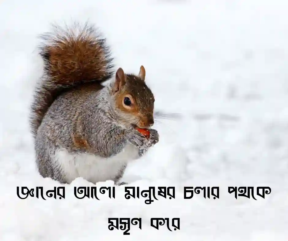 পরীক্ষায় ভালো রেজাল্ট করায় উক্তি