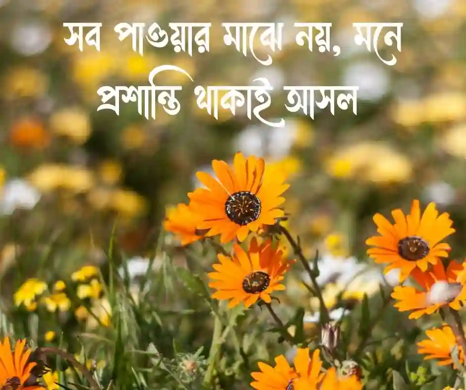 প্রশান্ত মন নিয়ে উক্তি