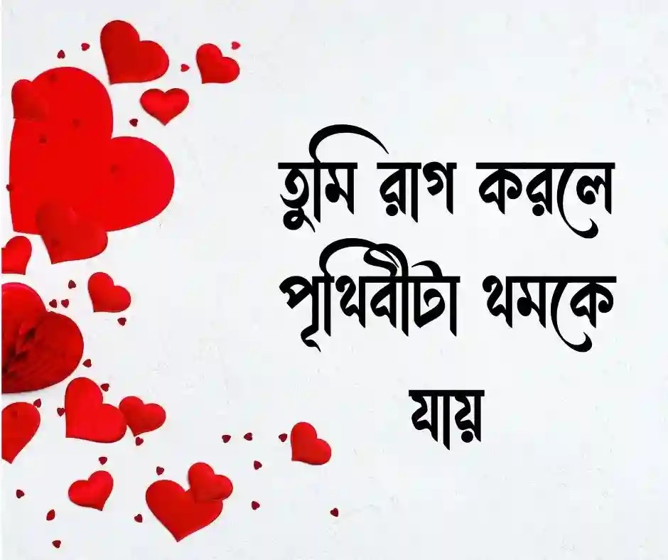 প্রিয় মানুষের রাগ ভাঙ্গানোর মেসেজ