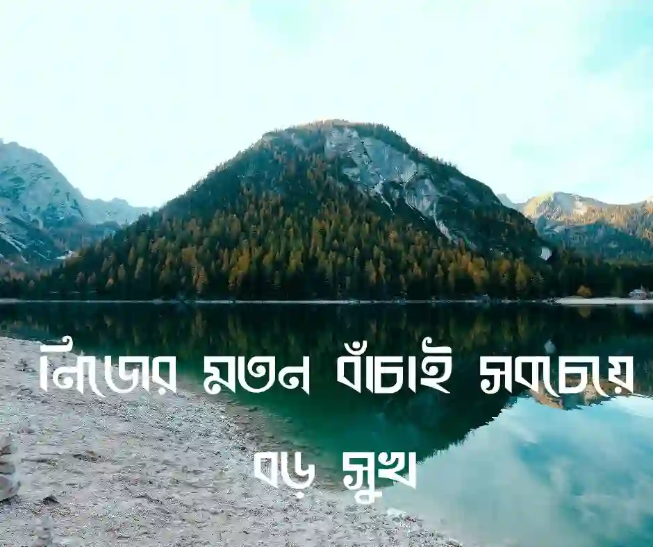 ফেসবুক কভার ফটো স্ট্যাটাস