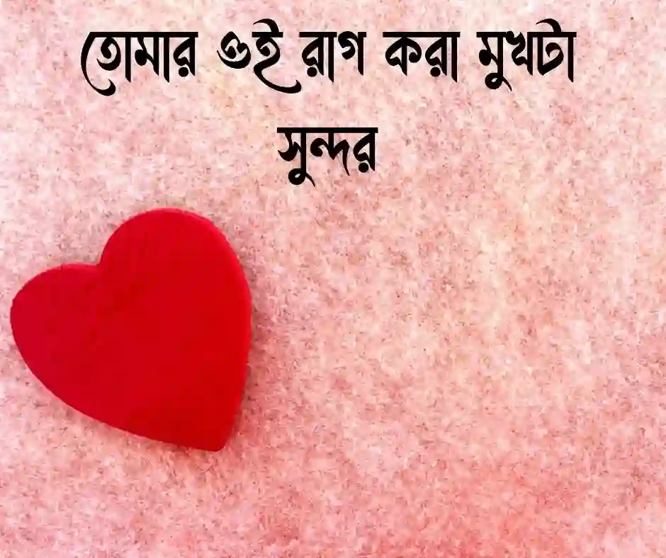 বউয়ের রাগ ভাঙ্গানোর মেসেজ