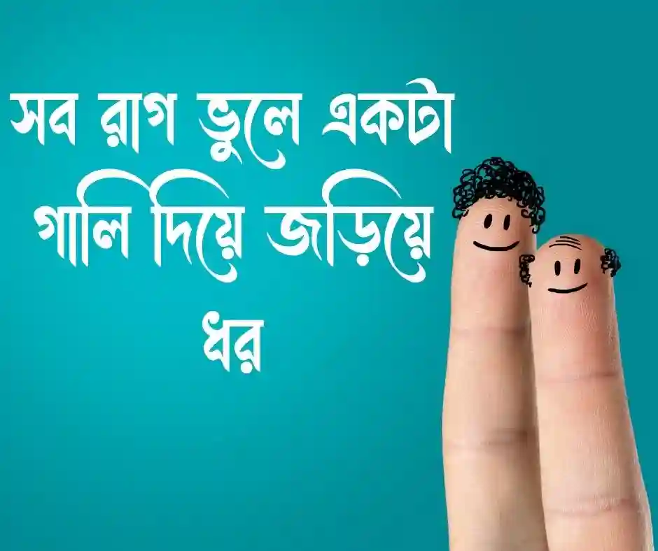 বন্ধুর রাগ ভাঙ্গানোর মেসেজ