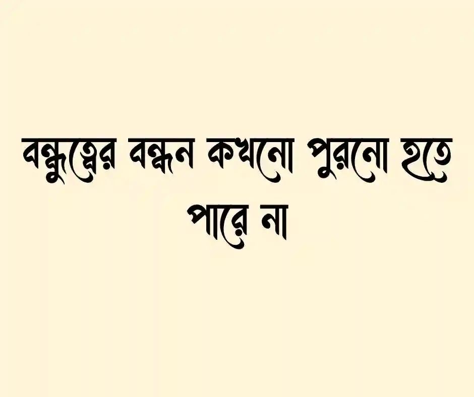 বন্ধু মিলন মেলা নিয়ে উক্তি