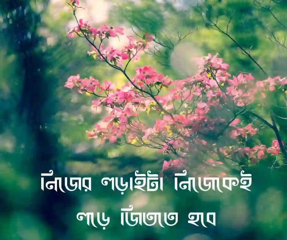 বাস্তবতা নিয়ে কিছু ক্যাপশন