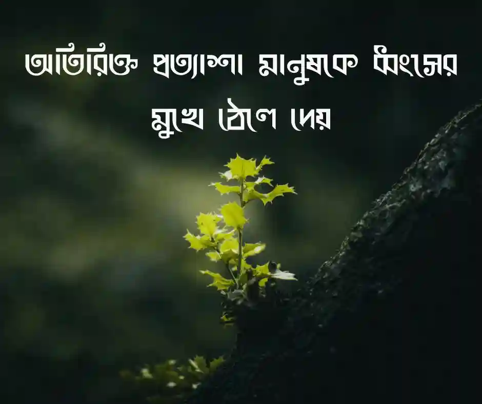 বাস্তবতা নিয়ে ফেসবুক স্ট্যাটাস