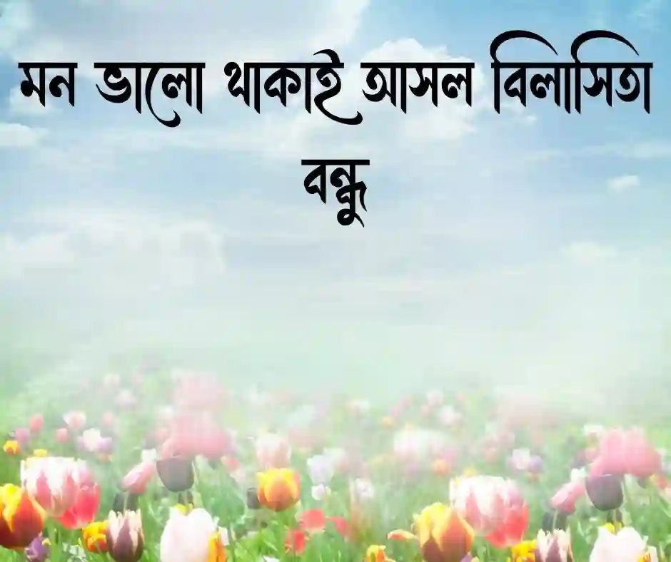 বিলাসিতা নিয়ে উক্তি
