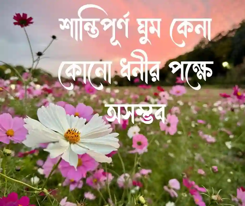 বিলাসিতা নিয়ে ক্যাপশন