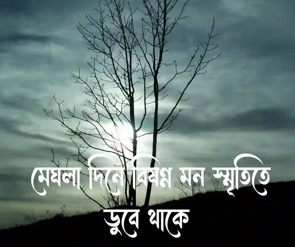 বিষন্ন মন নিয়ে উক্তি