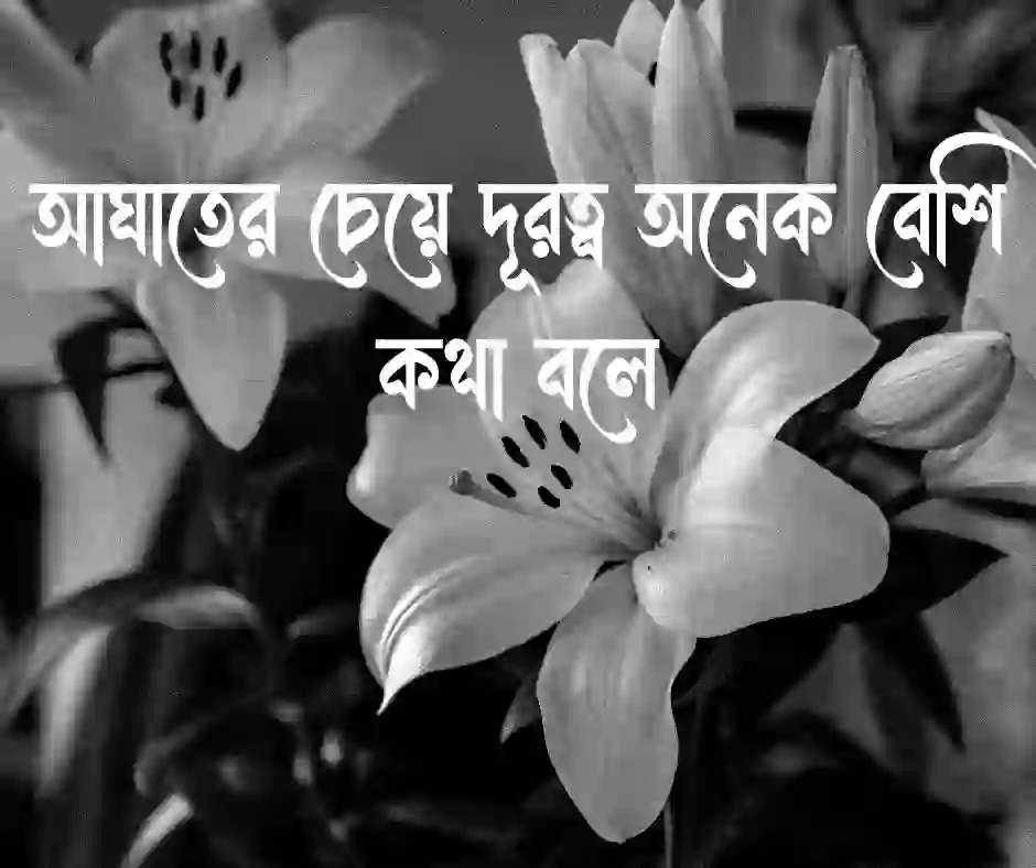 ব্লকলিস্ট নিয়ে স্ট্যাটাস