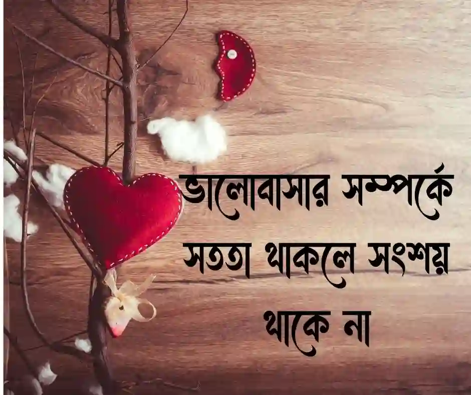 ভালোবাসায় সন্দেহ নিয়ে উক্তি