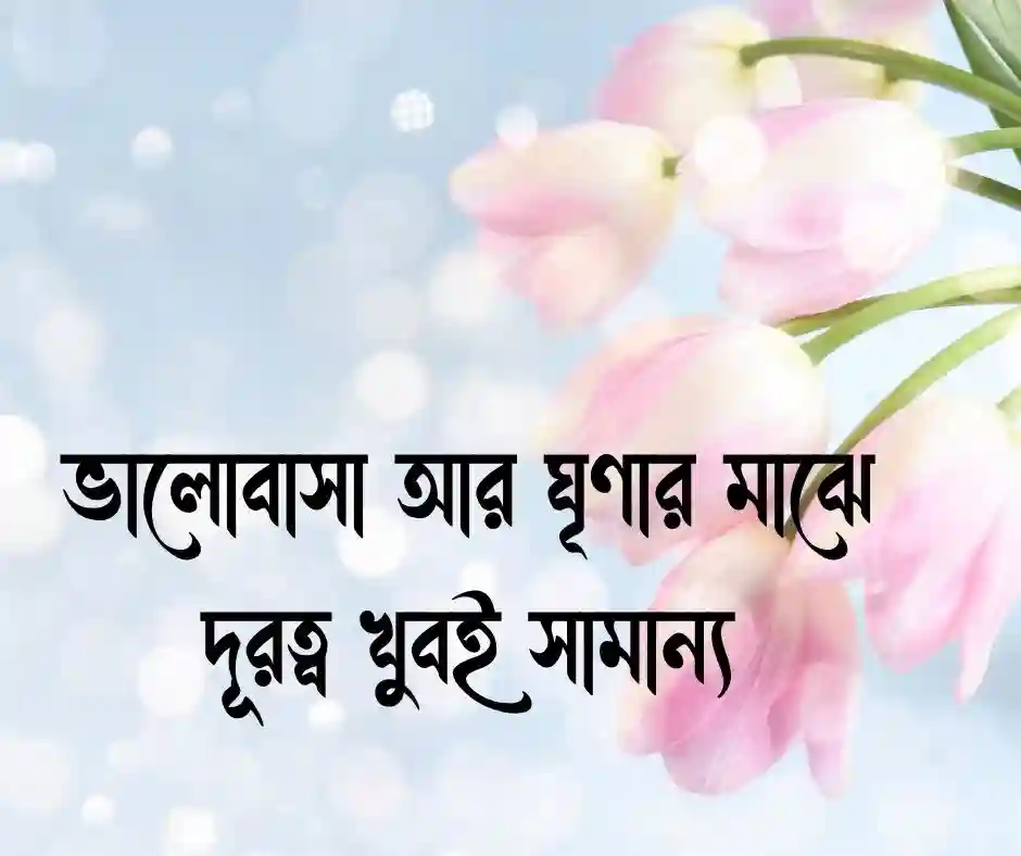ভালোবাসা ঘৃণা নিয়ে উক্তি