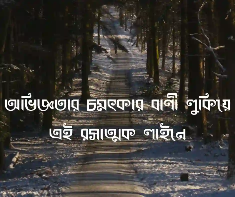 মজার প্রবাদ বাক্য