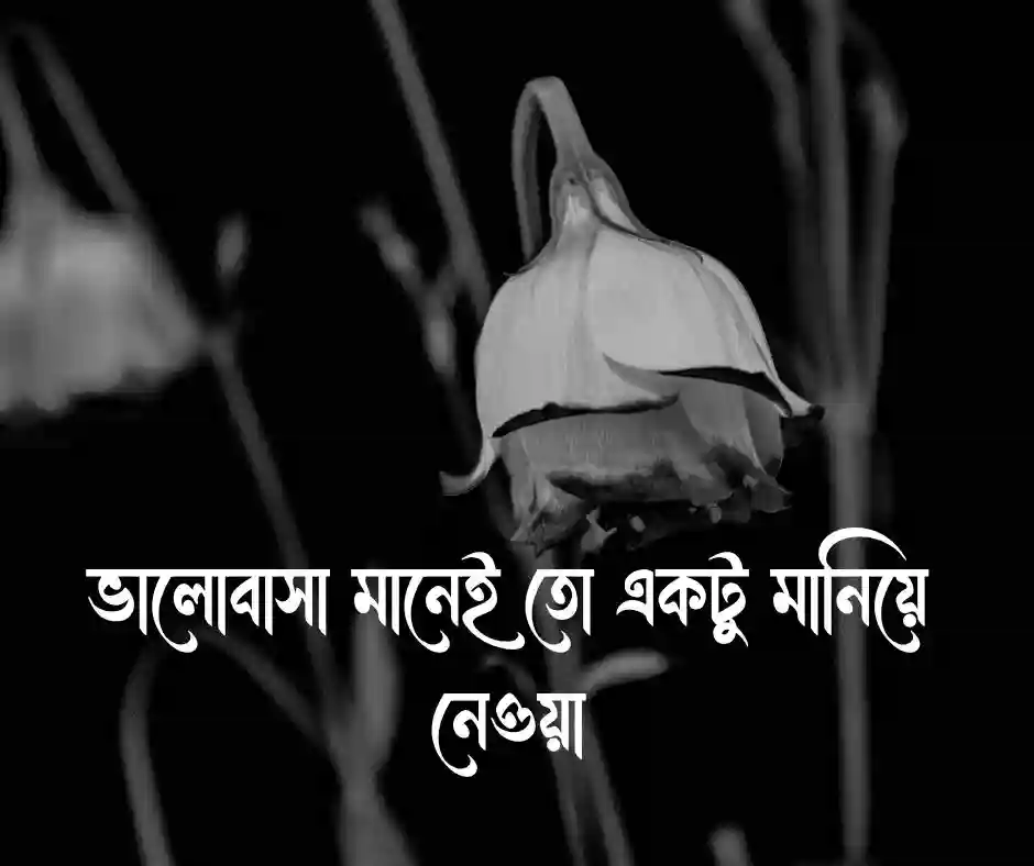 মানিয়ে নেওয়া নিয়ে ক্যাপশন