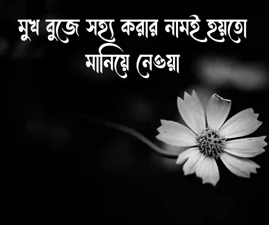 মানিয়ে নেওয়া নিয়ে স্ট্যাটাস