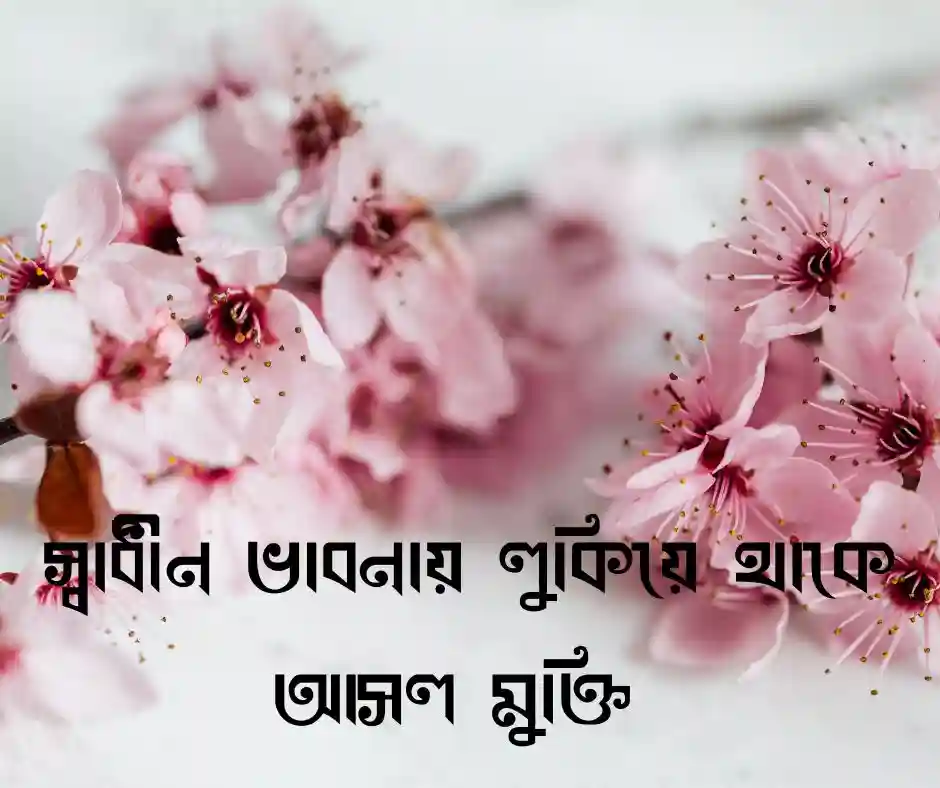 মুক্তি নিয়ে উক্তি