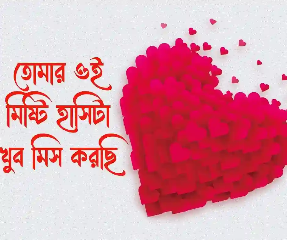 রাগ ভাঙ্গানোর এসএমএস