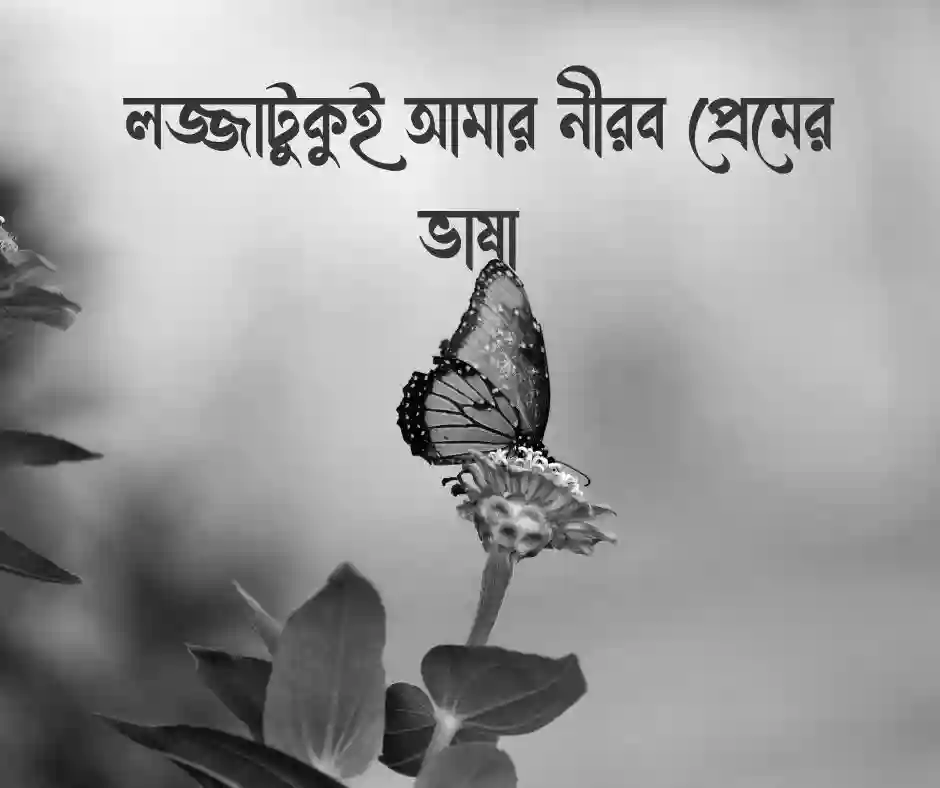 লজ্জা নিয়ে ক্যাপশন