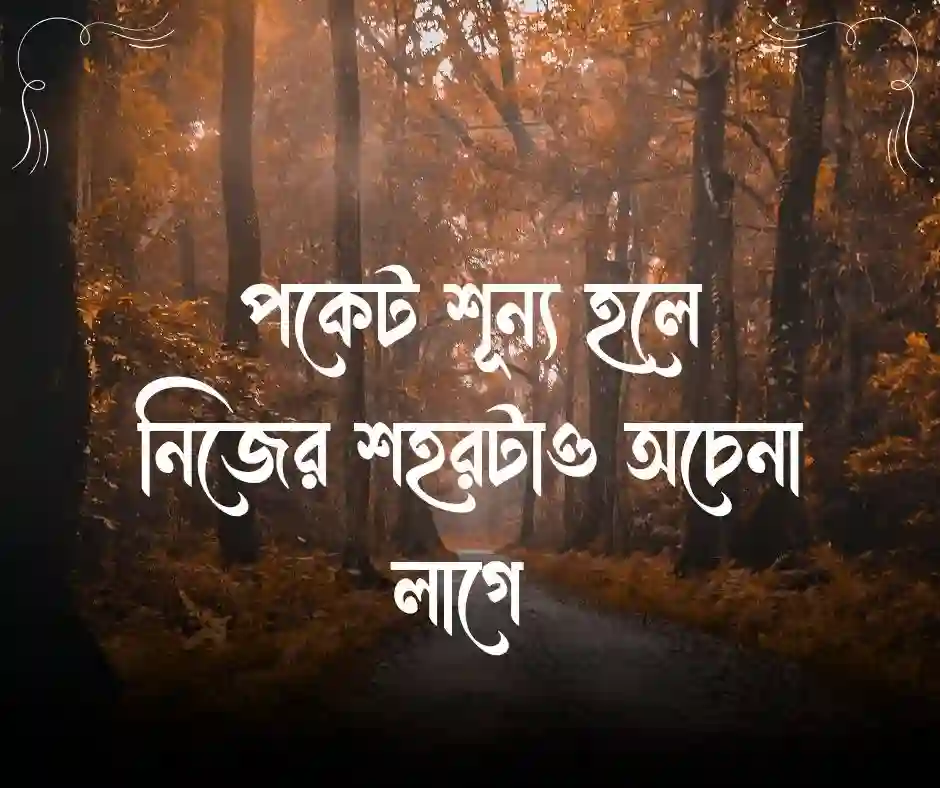 শূন্য পকেট নিয়ে স্ট্যাটাস (2)