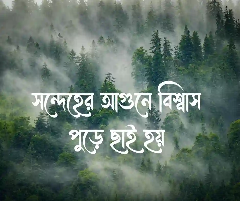সন্দেহ নিয়ে উক্তি