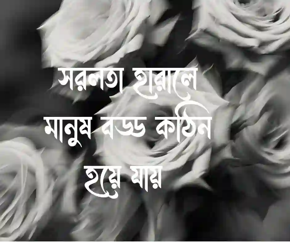 সরলতার সুযোগ নিয়ে উক্তি