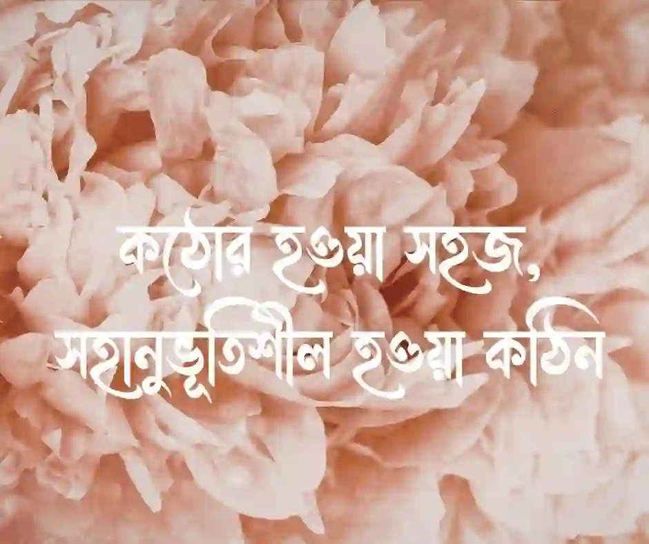 সহানুভূতি নিয়ে স্ট্যাটাস&nbsp;