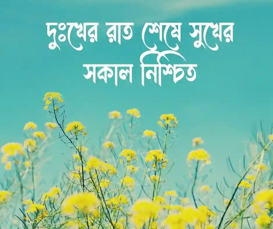 সুখ দুঃখ নিয়ে ক্যাপশন