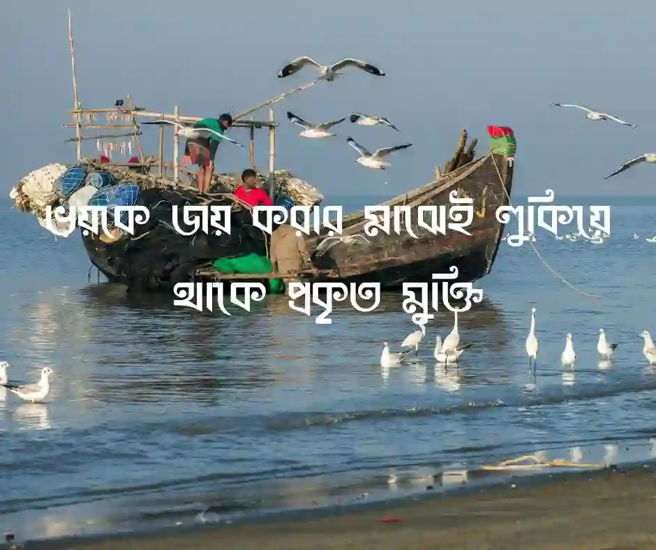 স্বাধীনতা নিয়ে উক্তি