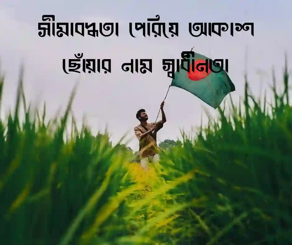 স্বাধীনতা নিয়ে ক্যাপশন