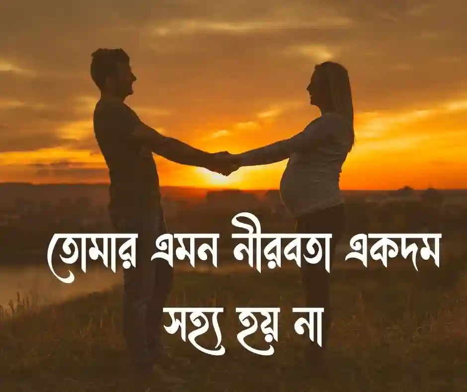 স্বামীর রাগ ভাঙ্গানোর মেসেজ