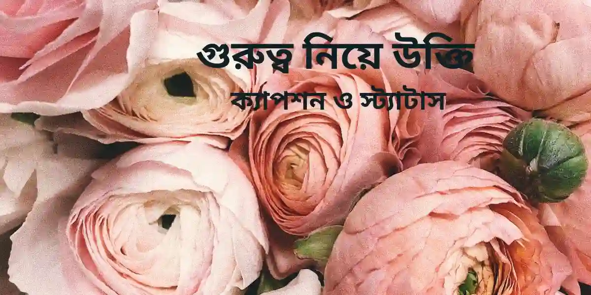 গুরুত্ব নিয়ে উক্তি ক্যাপশন ও স্ট্যাটাস