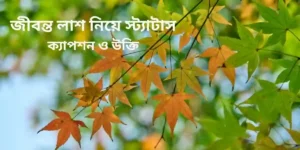 জীবন্ত লাশ নিয়ে স্ট্যাটাস ক্যাপশন ও উক্তি
