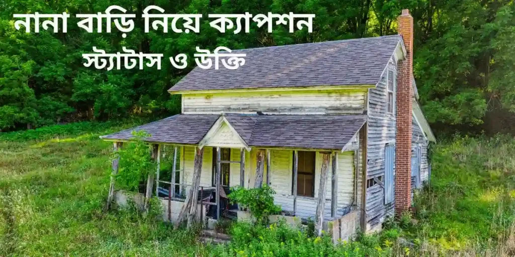 নানা বাড়ি নিয়ে ক্যাপশন স্ট্যাটাস ও উক্তি