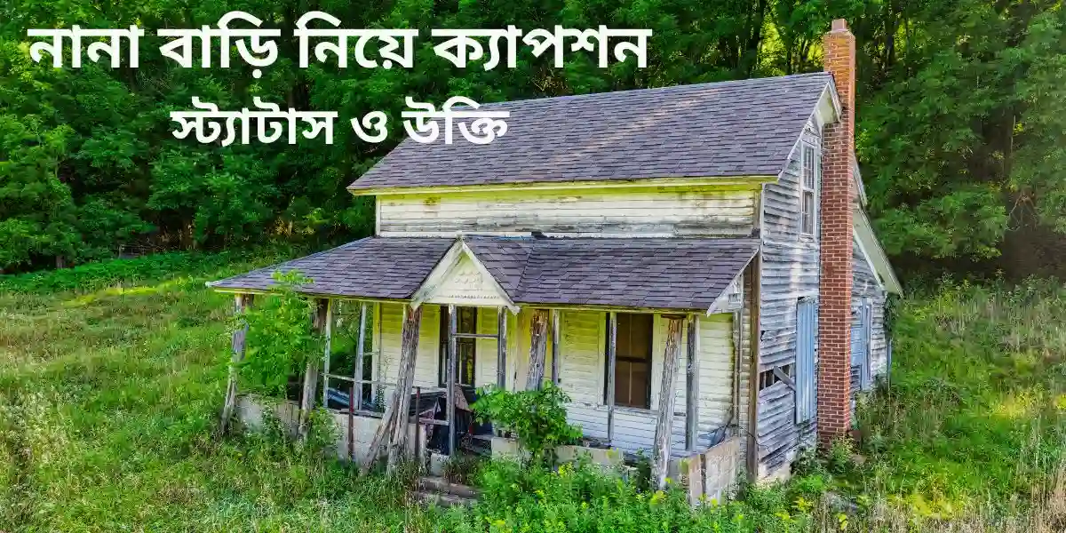 নানা বাড়ি নিয়ে ক্যাপশন স্ট্যাটাস ও উক্তি