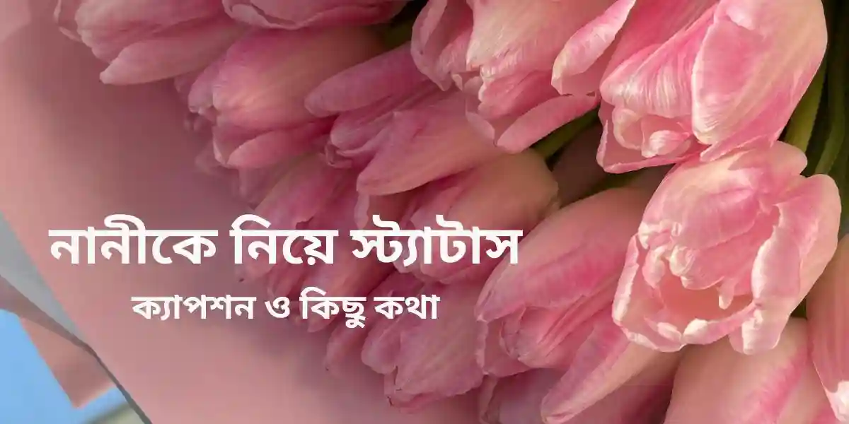 নানীকে নিয়ে স্ট্যাটাস ক্যাপশন ও কিছু কথা