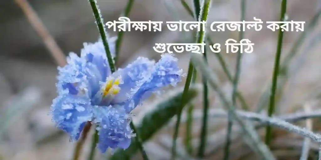 পরীক্ষায় ভালো রেজাল্ট করায় শুভেচ্ছা ও চিঠি