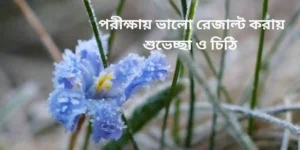 পরীক্ষায় ভালো রেজাল্ট করায় শুভেচ্ছা ও চিঠি